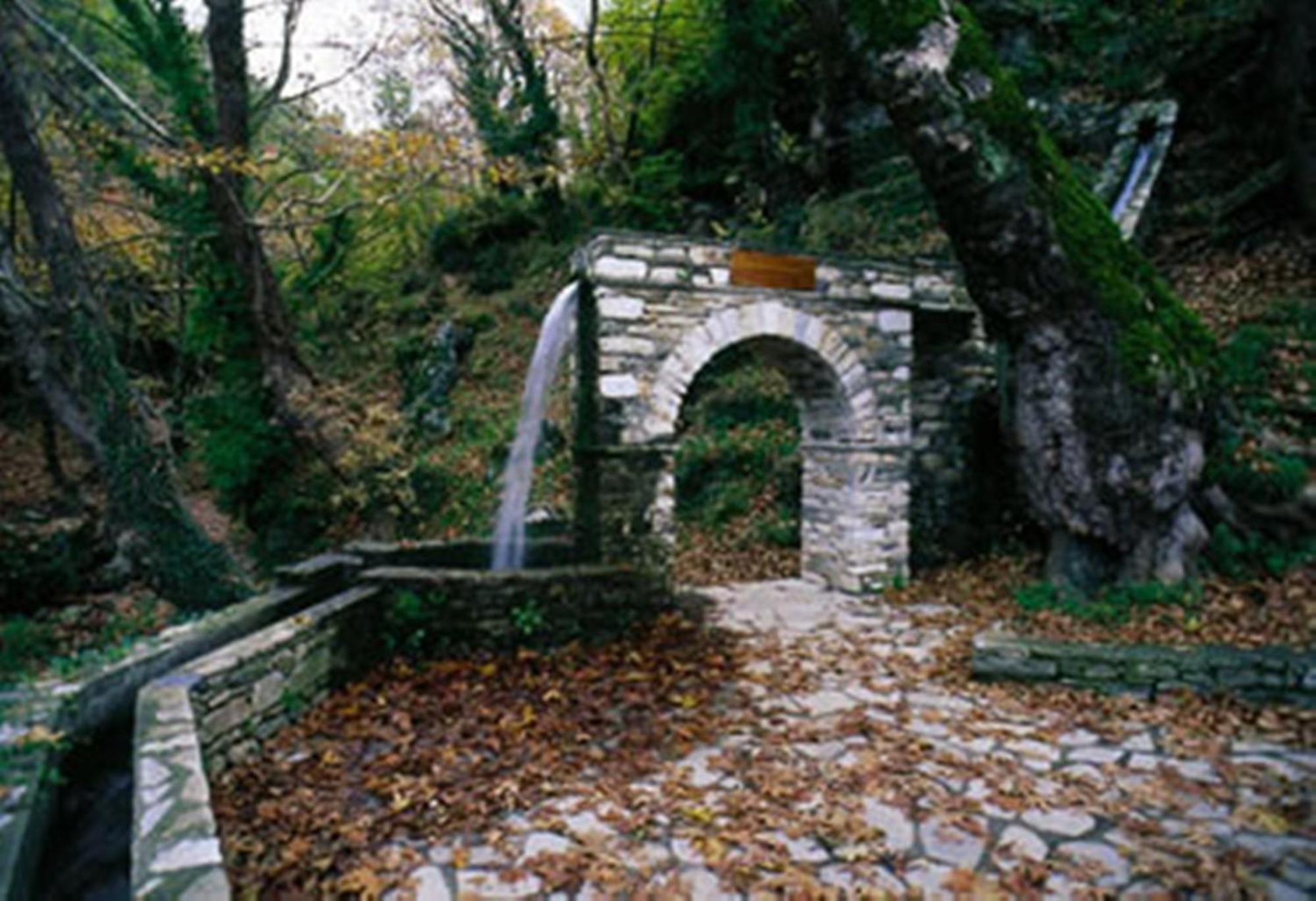 Hotel Pelion Resort Портария Экстерьер фото